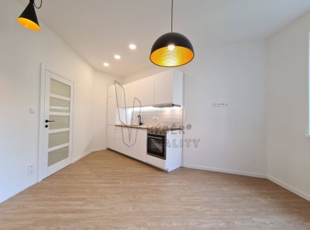 Pronájem bytu, 1+kk, 27 m²