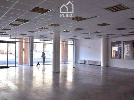 Pronájem obchodní prostory, 254 m²