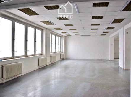 Pronájem obchodní prostory, 254 m²