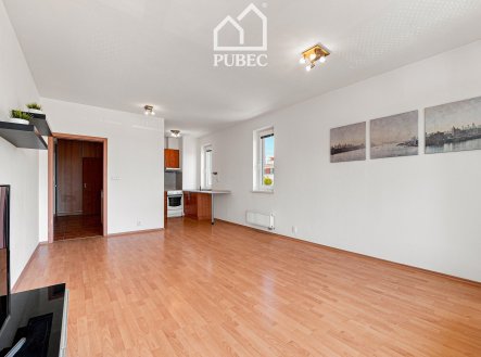 Pronájem bytu, 1+kk, 46 m²