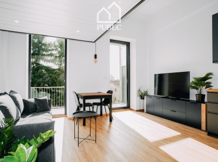 Pronájem bytu, 1+kk, 47 m²