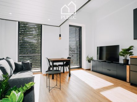 Pronájem bytu, 1+kk, 47 m²