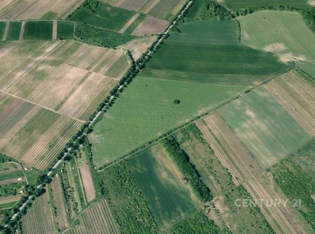 Prodej pozemku, zemědělská půda, 4 498 m²