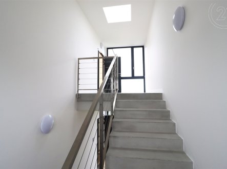 Pronájem kanceláře, 250 m²