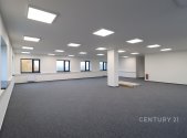 Pronájem kanceláře, 250 m²