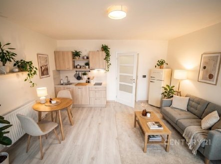 Prodej bytu, 1+kk, 30 m²