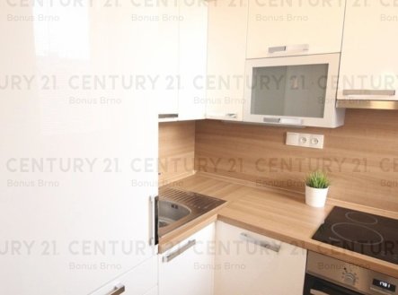 Pronájem bytu, 1+1, 33 m²