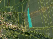Prodej pozemku, zemědělská půda, 6 619 m²