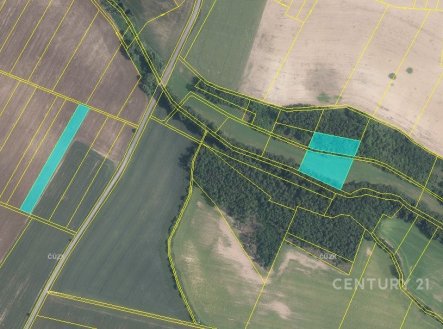Prodej pozemku, zemědělská půda, 7 215 m²