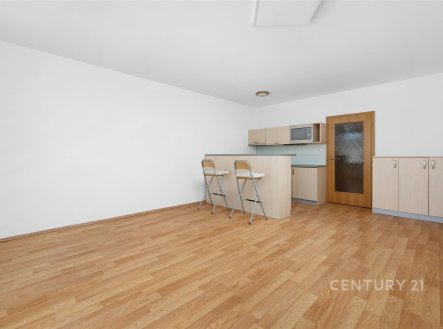 Prodej bytu, 1+kk, 38 m²
