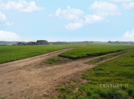 Prodej pozemku pro bydlení, 3 119 m²