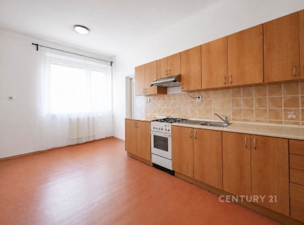 Pronájem bytu, 1+1, 56 m²