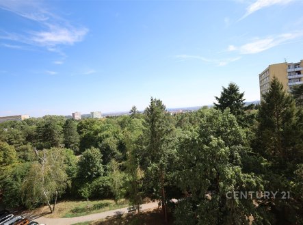 Pronájem bytu, 3+1, 78 m²