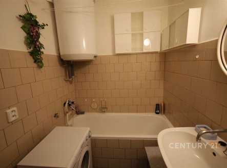 Pronájem bytu, 1+1, 42 m²