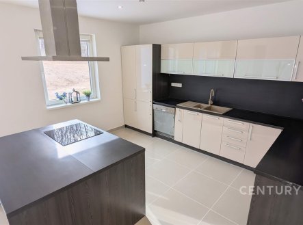 Prodej domu/vily, 320 m²