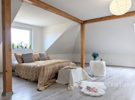 Prodej domu/vily, 320 m²