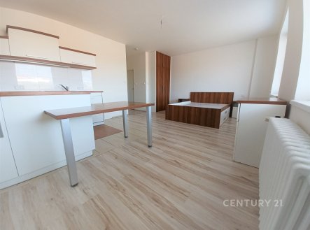 Pronájem bytu, 1+kk, 39 m²