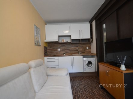 Pronájem bytu, 1+1, 31 m²