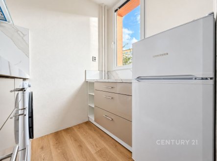 Pronájem bytu, 1+kk, 33 m²