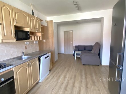 Pronájem bytu, 3+kk, 55 m²