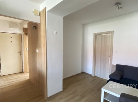 Pronájem bytu, 3+kk, 55 m²