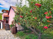 Prodej domu/vily, 157 m²