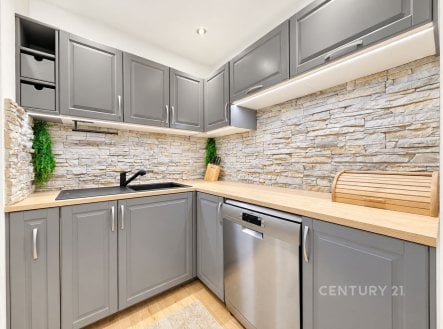Pronájem bytu, 2+kk, 67 m²