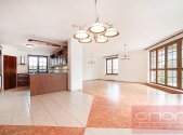 Pronájem - dům/vila, 390 m²