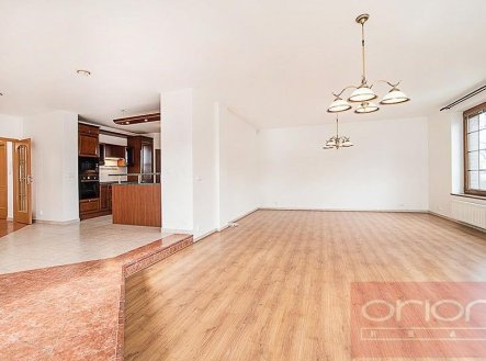 Pronájem domu/vily, 390 m²