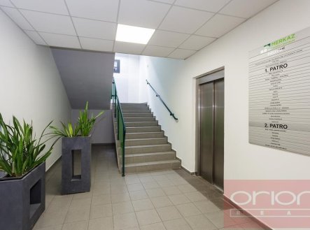 Pronájem kanceláře, 38 m²