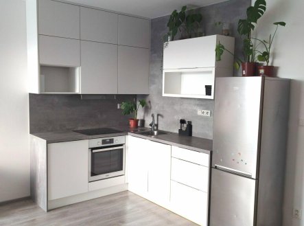 Pronájem bytu, 1+kk, 36 m² obrázek