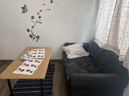 Pronájem bytu, pokoj, 12 m²
