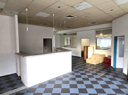 Pronájem jiné komerční nemovitosti, 450 m²