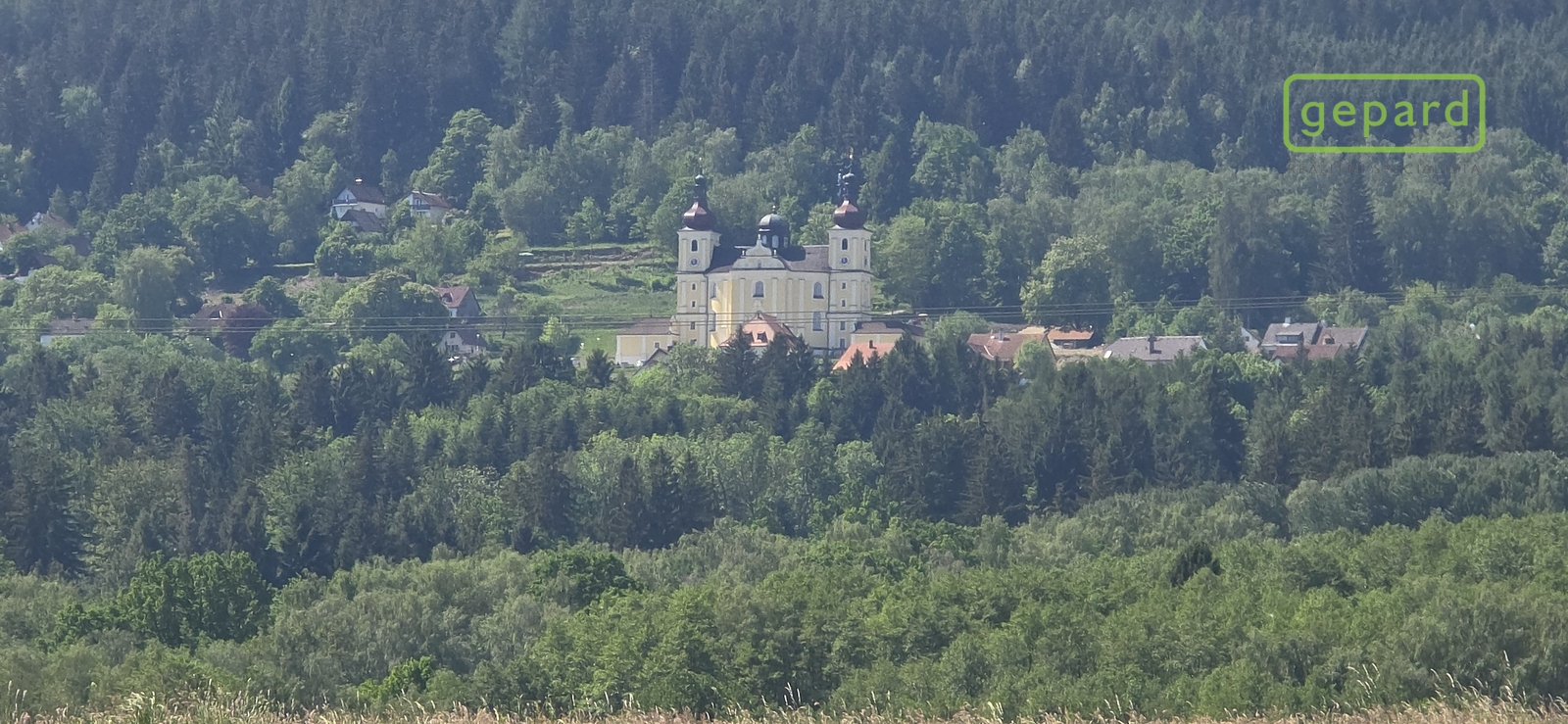20260527-110200.jpg