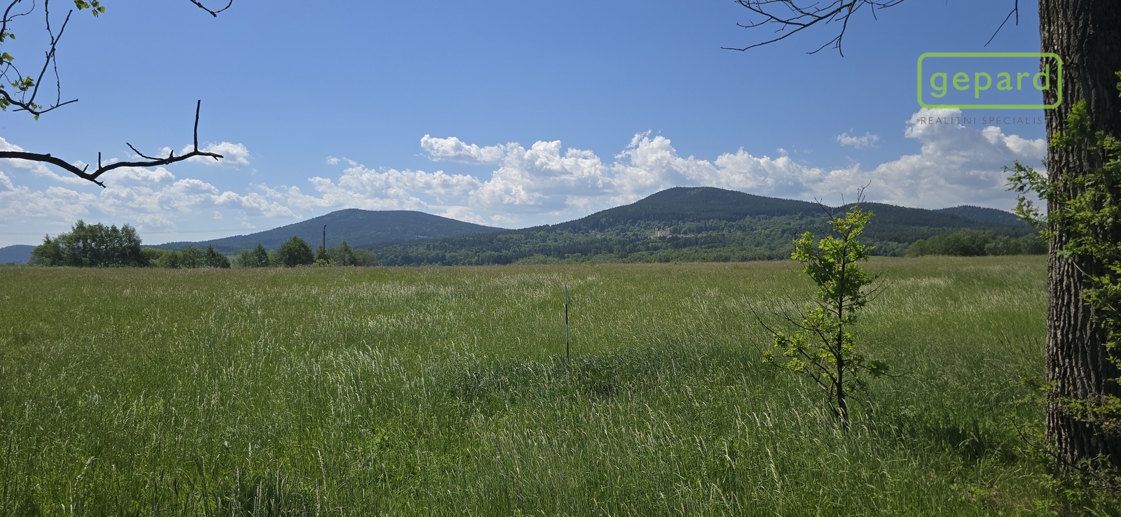 20260527-110040.jpg