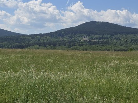 Prodej pozemku pro bydlení, 7 197 m²