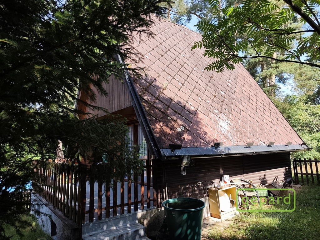 img-20260617-093045.jpg