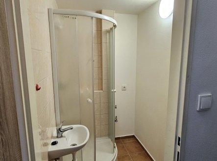 Pronájem bytu, 1+kk, 18 m²