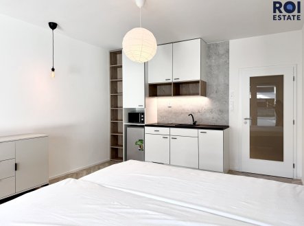 Pronájem bytu, 1+kk, 38 m²