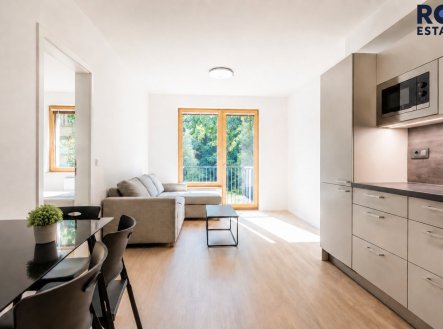 Pronájem bytu, 2+kk, 49 m²