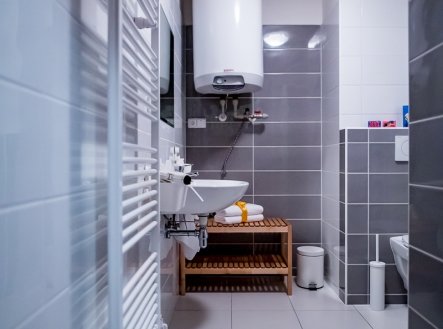 Pronájem bytu, 1+kk, 41 m²