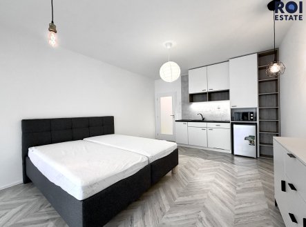 Pronájem bytu, 1+kk, 38 m²