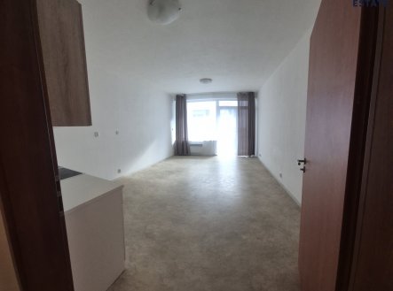 Pronájem bytu, 1+kk, 41 m²