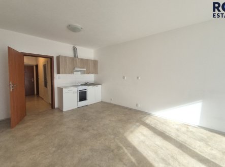 Pronájem bytu, 1+kk, 41 m²