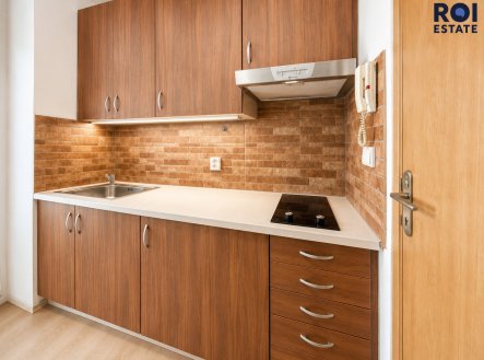 Pronájem bytu, 1+kk, 20 m²