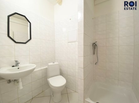 Pronájem bytu, 1+kk, 20 m²