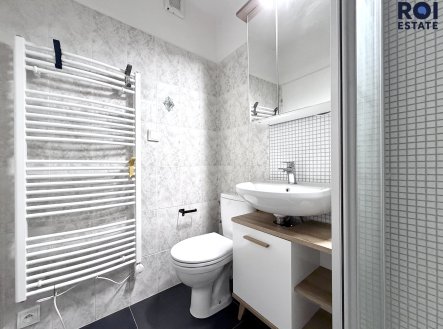 Pronájem bytu, 1+kk, 27 m²