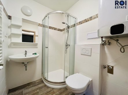 Pronájem bytu, 1+kk, 22 m²