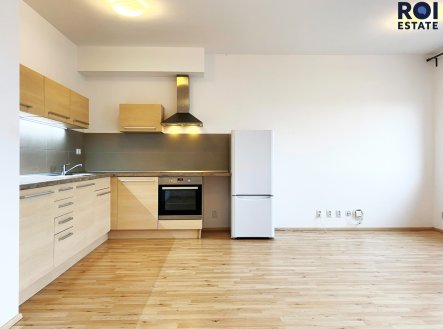 Pronájem bytu, 1+kk, 42 m²