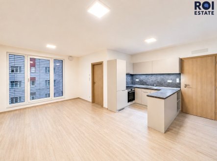 Pronájem bytu, 2+kk, 51 m²